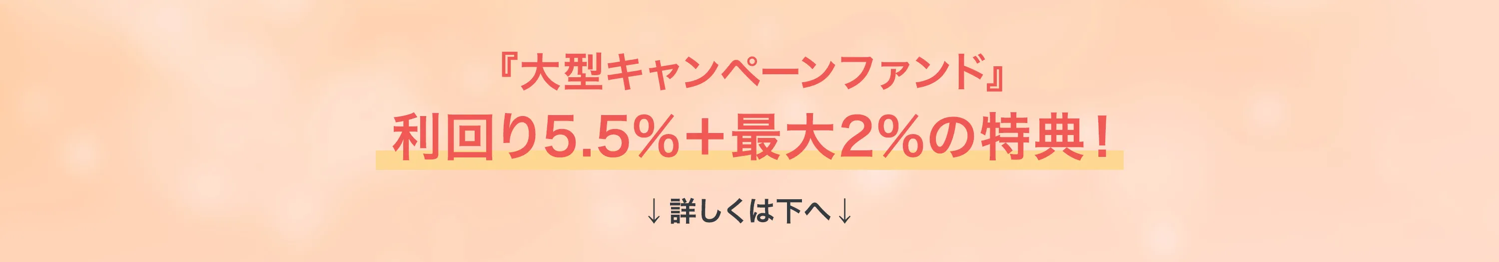 大型キャンペーンファンド詳しくは下へ