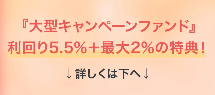 大型キャンペーンファンド詳しくは下へ